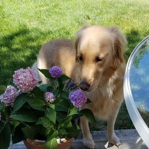 Meet your Posher, Cheryl